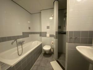 东弗利兰多尼亚斯德特酒店的带浴缸、卫生间和盥洗盆的浴室