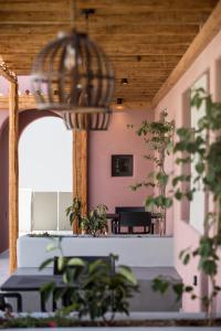 佩里沃罗Terra Nera Suites的一间种植了盆栽植物的客房和木制天花板