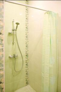Aramil'Hotel Eliziy的带淋浴和浴帘的浴室