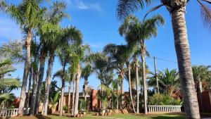 斯希拉特Palmeraie skhirat 2的一排棕榈树在房子前面