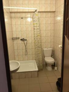 鲁斯诺沃Relaks Rusinowo的浴室配有卫生间、淋浴和盥洗盆。