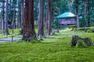 胜山市BBQ可 1日1組限定 貸切別荘 秘密基地 は恐竜博物館まで3km スキージャム勝山まで12km的相册照片