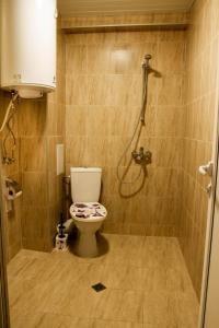 内塞伯尔Апартамент Lavander Fleur的一间带卫生间和淋浴的浴室