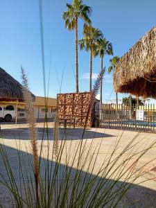 Heroica CaborcaHOTEL POSADA DEL DESIERTO的棕榈树排球场和围栏