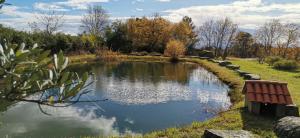 坎德莱达卡米诺乡村酒店的公园中央的池塘,带长凳