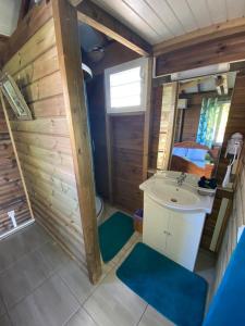 圣安尼An Ti Kaz La的一间带水槽和卫生间的小浴室