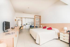 博洛尼亚Residence Panigale的一间大卧室,配有一张床和一台电视