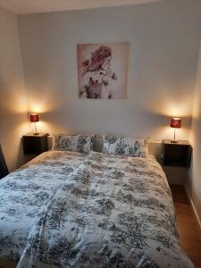 马格德堡Sueños Apartment的一间卧室配有一张大床和两盏灯