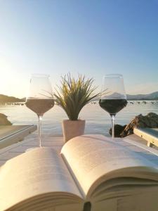 普特尼科维奇Holiday Home Blue Dream的一张开放式的书和一张桌子上的两杯葡萄酒