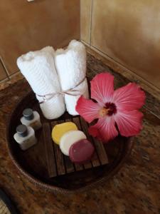 加罗帕巴Luxury Suites Vila Indonésia的粉红色的花和碗里的毛巾