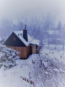 迪波尔迪斯瓦尔德Mäcky Baude的田野上带雪盖屋顶的小屋