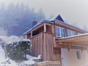 迪波尔迪斯瓦尔德Mäcky Baude的雪中小木屋,有树木背景