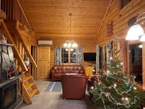 TammijärviNenäniemi的客厅配有圣诞树和沙发
