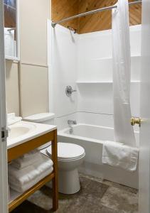 弗朗西斯堡The Bayview Motel - Fort France, ON - Lakeside Motel的浴室配有卫生间、浴缸和水槽。
