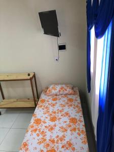 巴伊亚达特莱桑Pousada Terraço Potiguara的一间小卧室,配有一张床和一台墙上的电视
