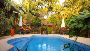 萨玛拉Samara Palm Lodge的一座树木繁茂的庭院内的游泳池