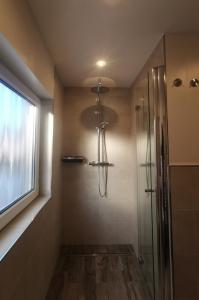 哈斯洛赫Top-Unterkunft in der Pfalz的带淋浴的浴室和玻璃门