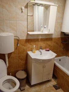 TrstenikApartman Kneginja的一间带卫生间、水槽和镜子的浴室