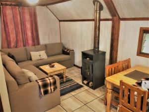 格拉斯科普祖尔滕矿区山林小屋的带沙发和炉灶的客厅