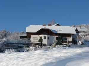 沃尔特湖畔韦尔登Ferienhaus Blümel inkl. freier Strandbadeintritt的前面的地面上积雪的房子