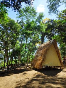 蒂安瓜Z'Alpes Camping e Restaurante的树下的田野帐篷