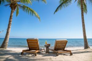 珀拉什奇亚Itz'ana Resort & Residences的两把椅子,在海滩上,两棵棕榈树