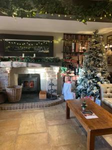 纳尔斯伯勒阿肯戴尔蓝色钟塔酒店的客厅配有圣诞树和壁炉