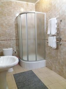 ZhashkivHotel Kiev-S的带淋浴、卫生间和盥洗盆的浴室