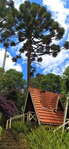 蒙特韦尔迪Pousada Perola da Mantiqueira的一座拥有橙色屋顶和树的房子