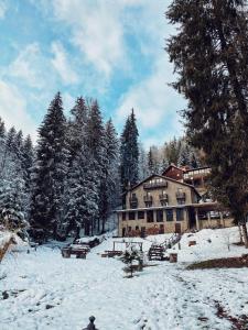 阿雷富Cabana Zimbru Transfagarasan的一座大雪楼,有树