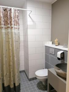 珀尔察马卡尔施密特旅馆的一间带卫生间和淋浴帘的浴室