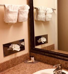 蒙特雷蒙特雷植树节旅馆的浴室设有镜子、水槽和毛巾