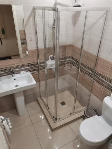 奔萨Авангард Новый Отель的带淋浴、卫生间和盥洗盆的浴室