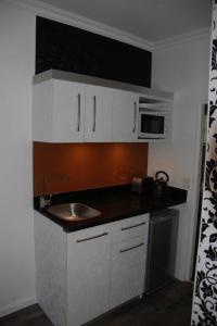 克尼斯纳克尼斯纳宾馆的一间带水槽和微波炉的小厨房