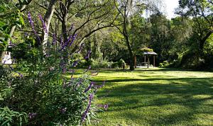 圣洛伦索塞尔瓦蒙大拿酒店的一个带凉亭和紫色花卉的花园