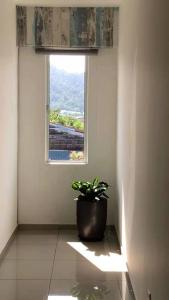 关丹逐梦者酒店的坐在窗户的房间里,盆栽植物