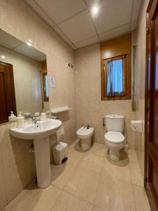 特拉萨Hostal del Carmen的一间带水槽、卫生间和镜子的浴室