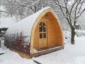 Crni VrhVila Jelena - BUNGALOV的雪地里有一扇门的冰屋