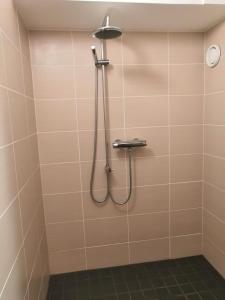 萨翁林纳Hungerborg City Home的瓷砖浴室内带软管的淋浴