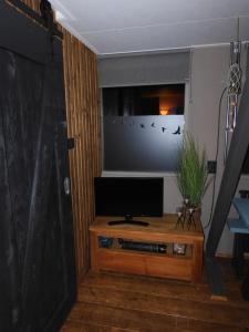 登海尔德WadLeuk!的客厅配有木桌上的电视