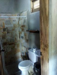 里瓦斯Ruamoko Hostel的一间带卫生间和淋浴的小浴室