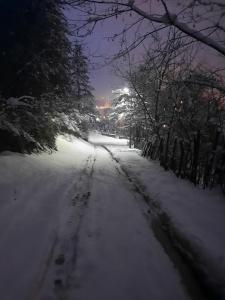 贝拉内Villa Jasikovac的雪覆盖的雪地道路,雪地里留下脚印