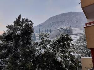 博尔扎诺Appartamento ospitale的山地的雪覆盖着树木