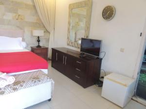沙拉迪加欧瑟范爪哇酒店的一间卧室配有一张床,梳妆台上配有电视