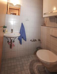 巴德小基希海姆Appartement Else的一间带卫生间和水槽的浴室