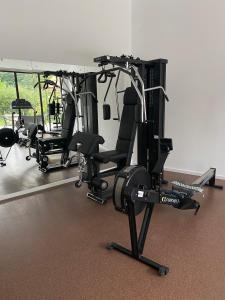 RojişteaResort Plaza Lake的一间健身房,里面设有数个健身器材