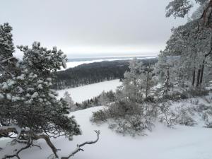 奥莫尔Edsleskogs Wärdshus的享有雪覆盖的树木和湖泊的景致。