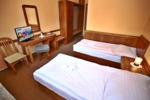 利托斯基简Hotel SOREA ĎUMBIER的酒店客房配有两张床和一张书桌