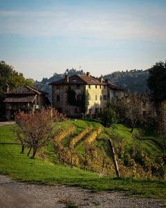 PeregoAgriturismo La Costa - Casa Vacanze的山丘上一座有葡萄树的古老房子