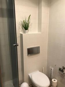 魏森费尔斯斯科恩奥西赫特酒店的一间带卫生间的浴室和架子上的植物